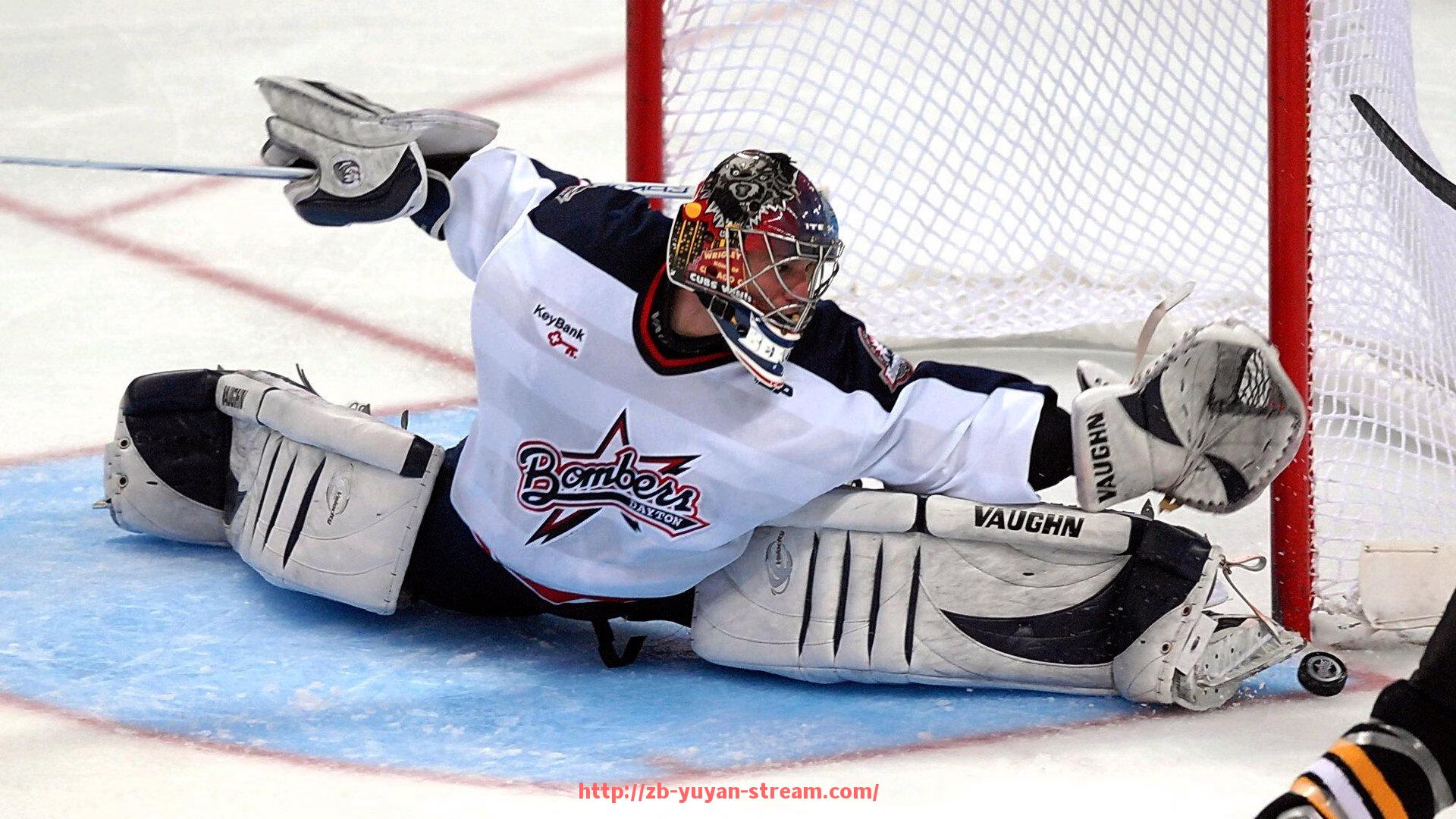 雨燕直播-世俱杯赛事赞助商名单及合作项目介绍