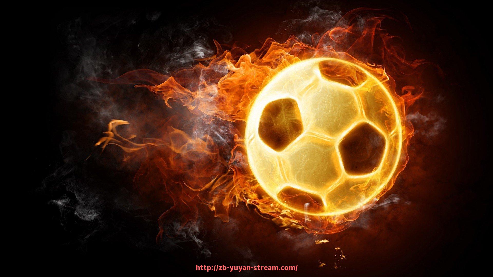 雨燕直播-公园城市建设中的世俱杯主办城市绿地覆盖度排名