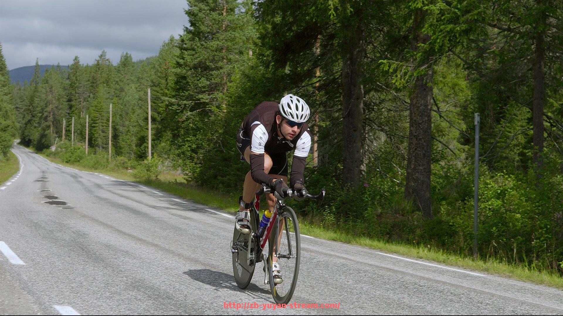雨燕直播-世俱杯观赛指南2025，必备信息全汇总